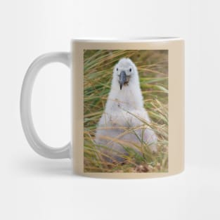 BABY BIRD ON A NEST Mug